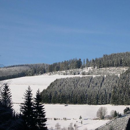 Haus Wald-Eck Schmallenberg Exterior foto