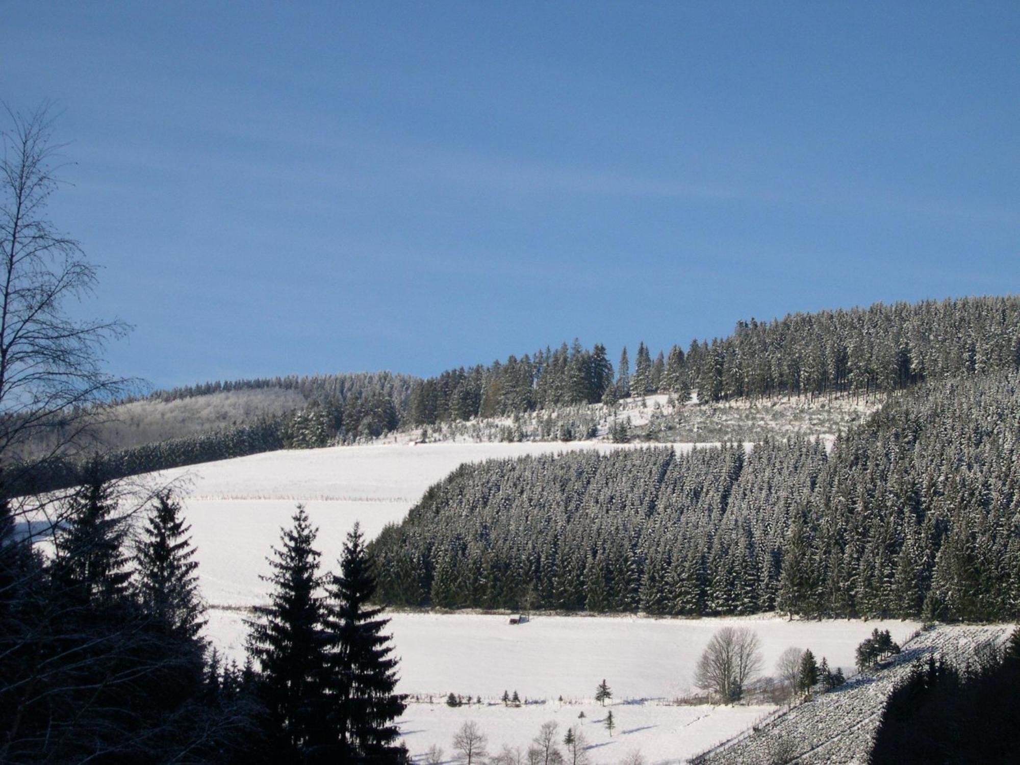 Haus Wald-Eck Schmallenberg Exterior foto